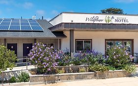 Wildflower Boutique Motel